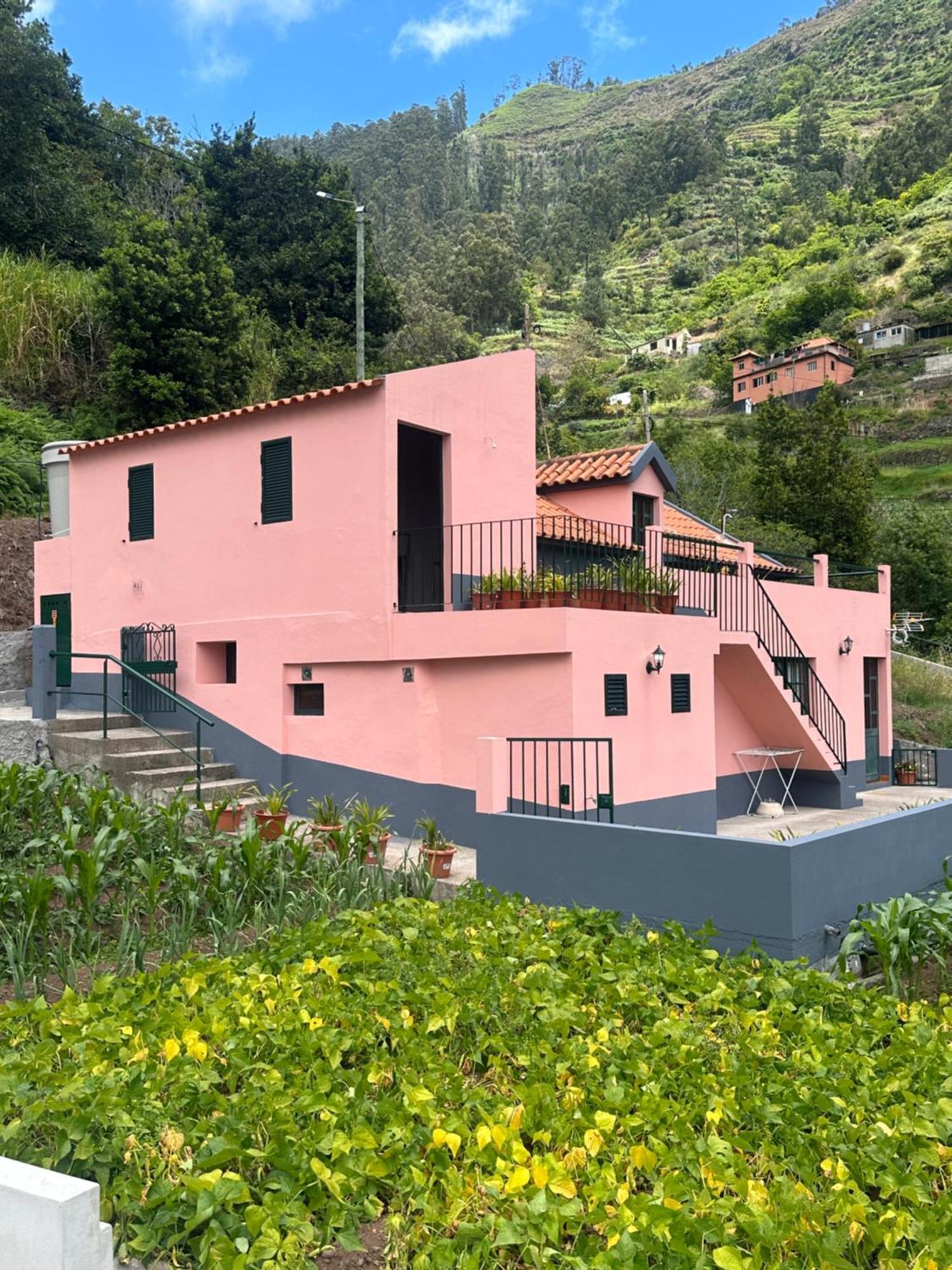 Casa Rosa Villa Ribeira Brava Exterior photo